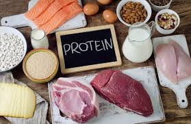 Protein